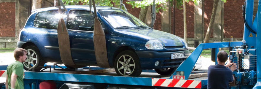 les services de fourrière